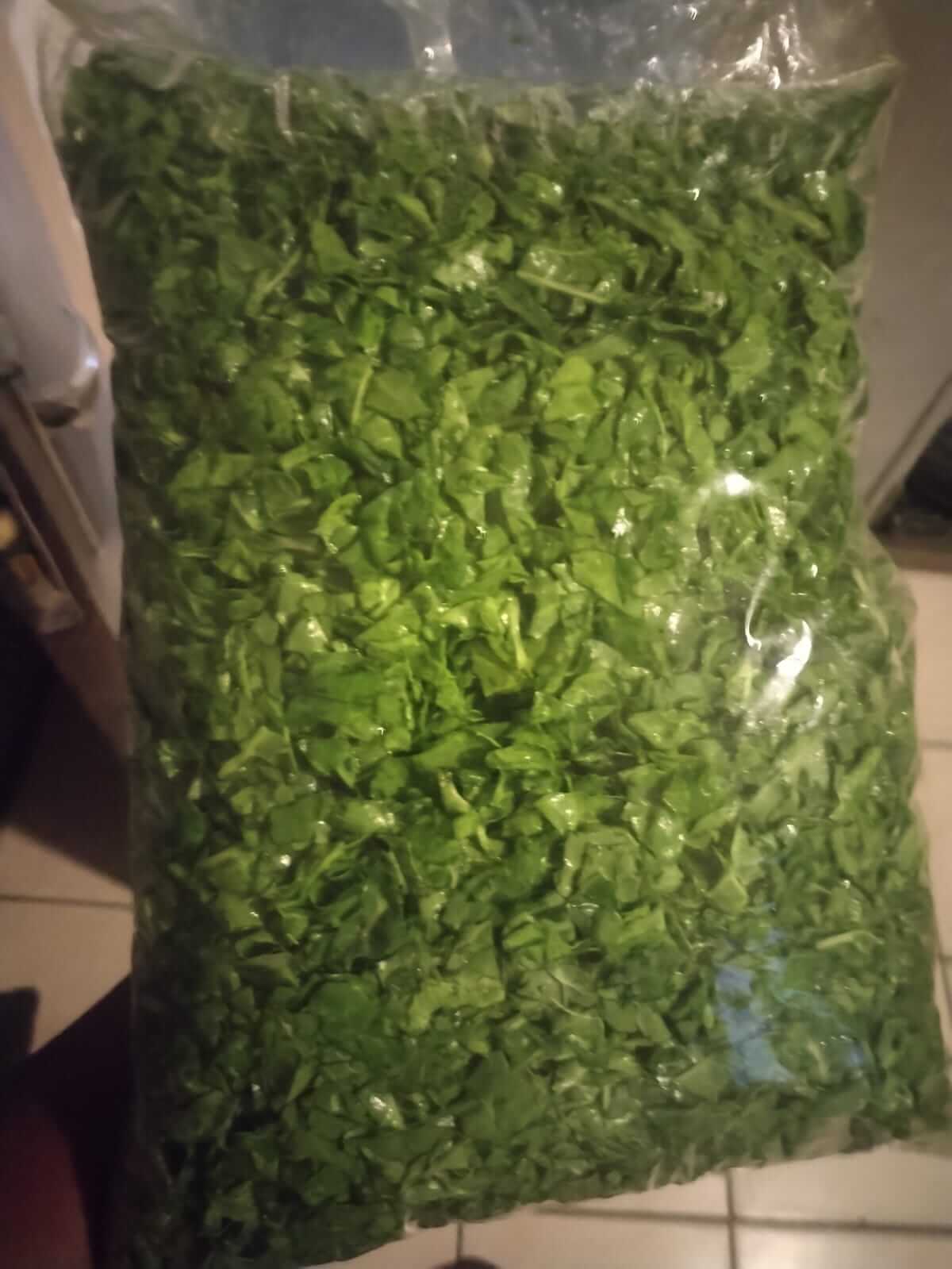 Chopped and packaged spinach