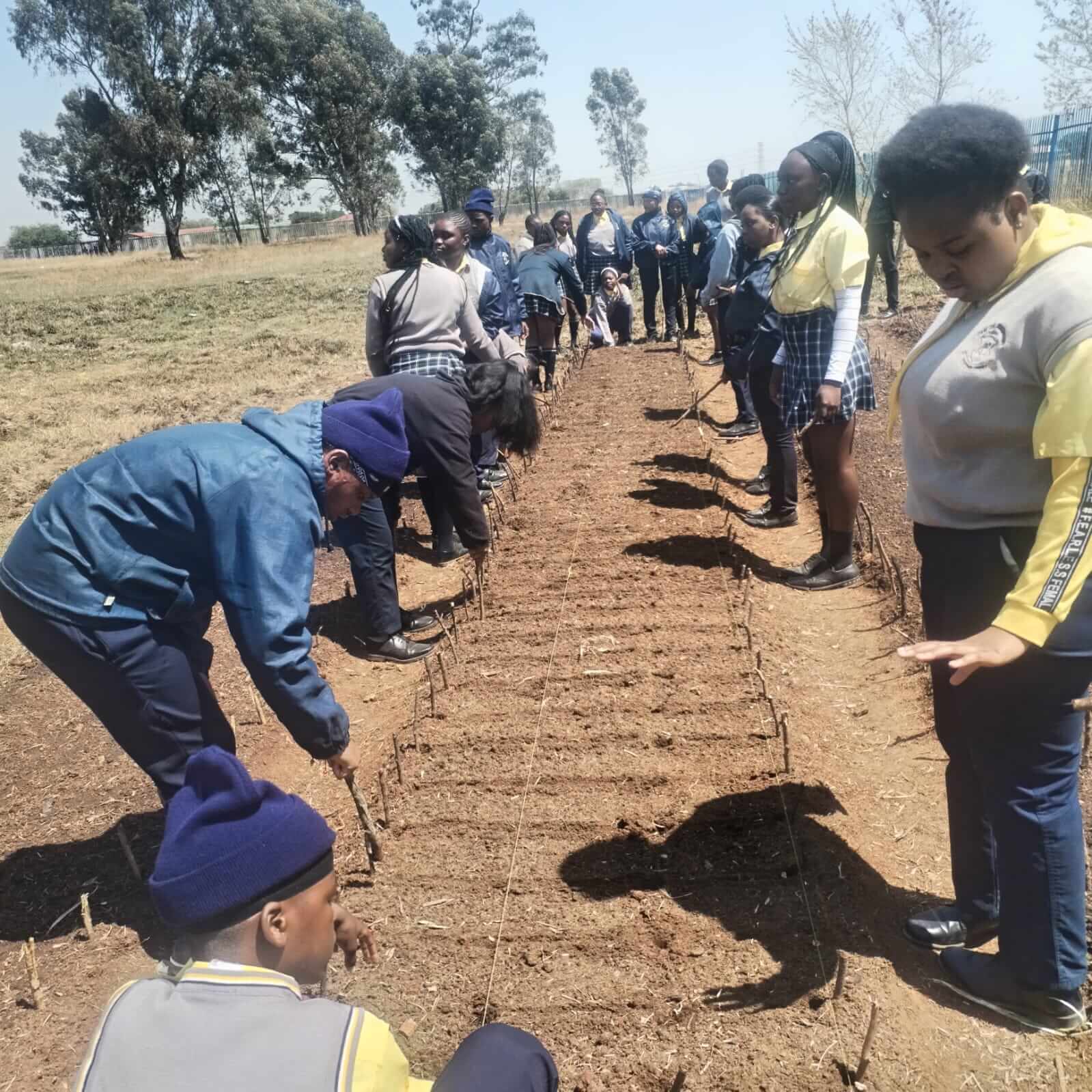 Group planting crops