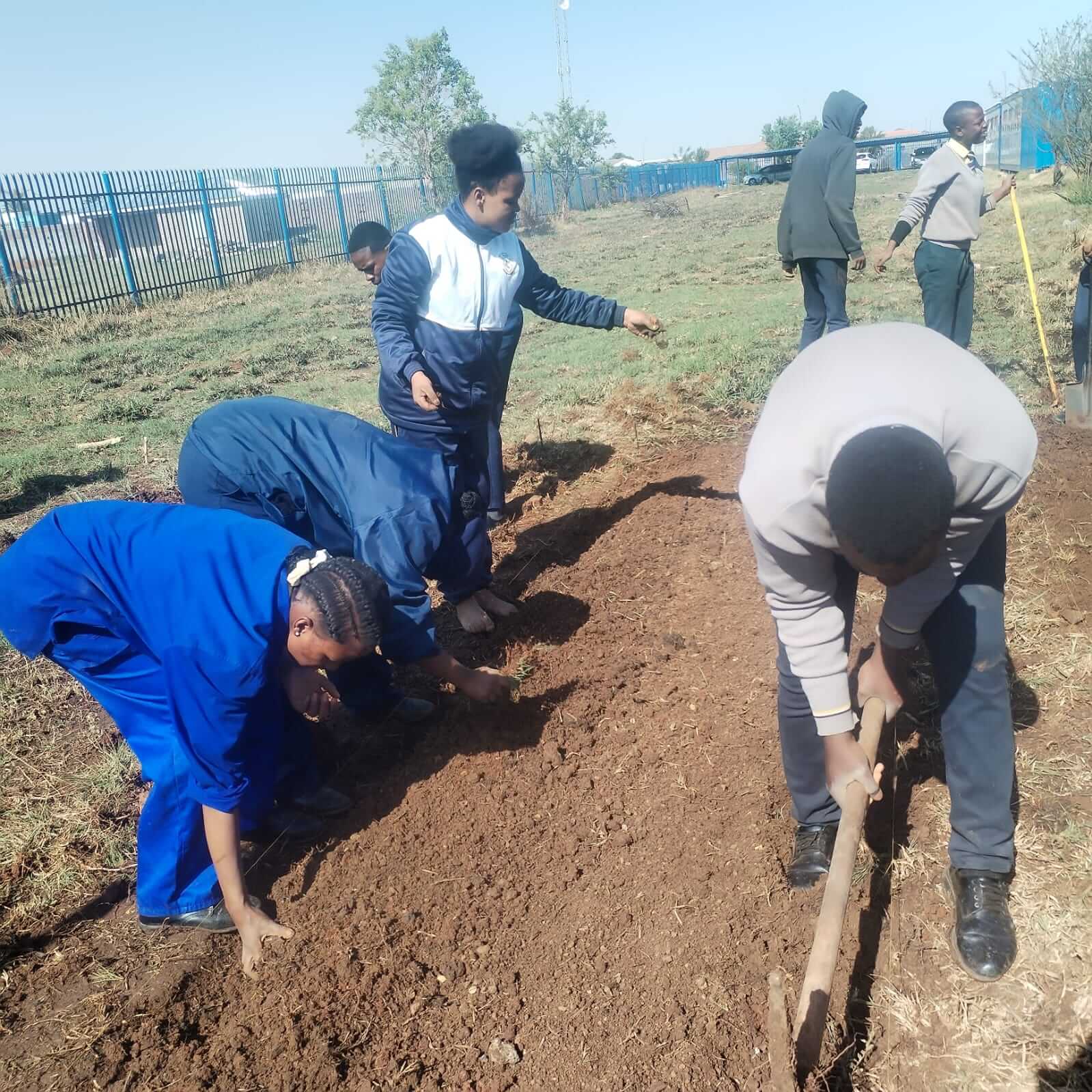 Group working in the field