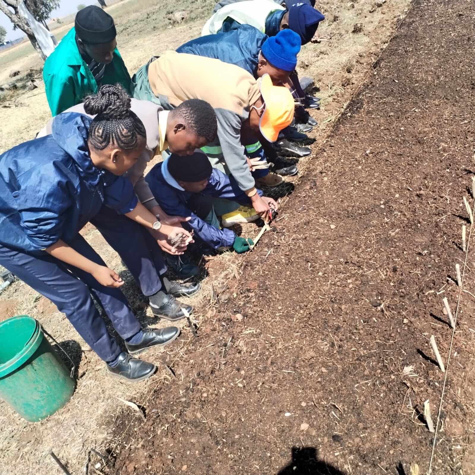 Group planting crops