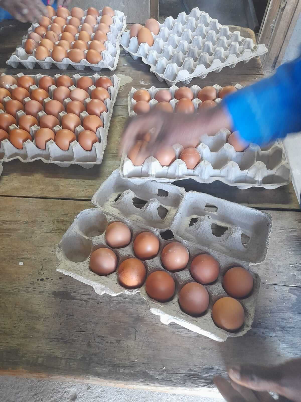 Packaging eggs