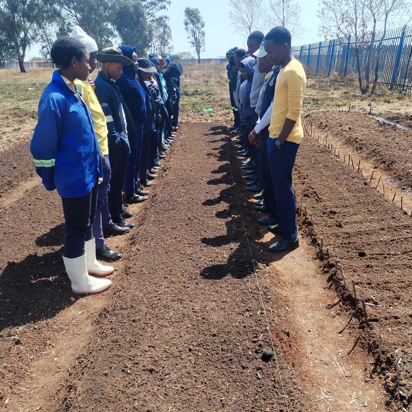 Two groups standing