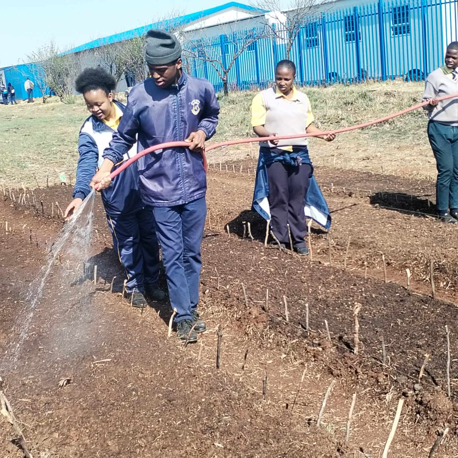 Watering crops