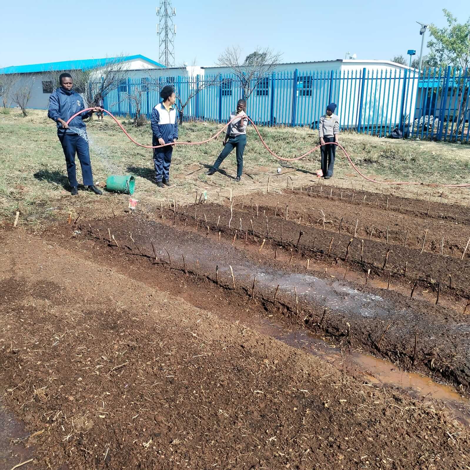 Watering crops