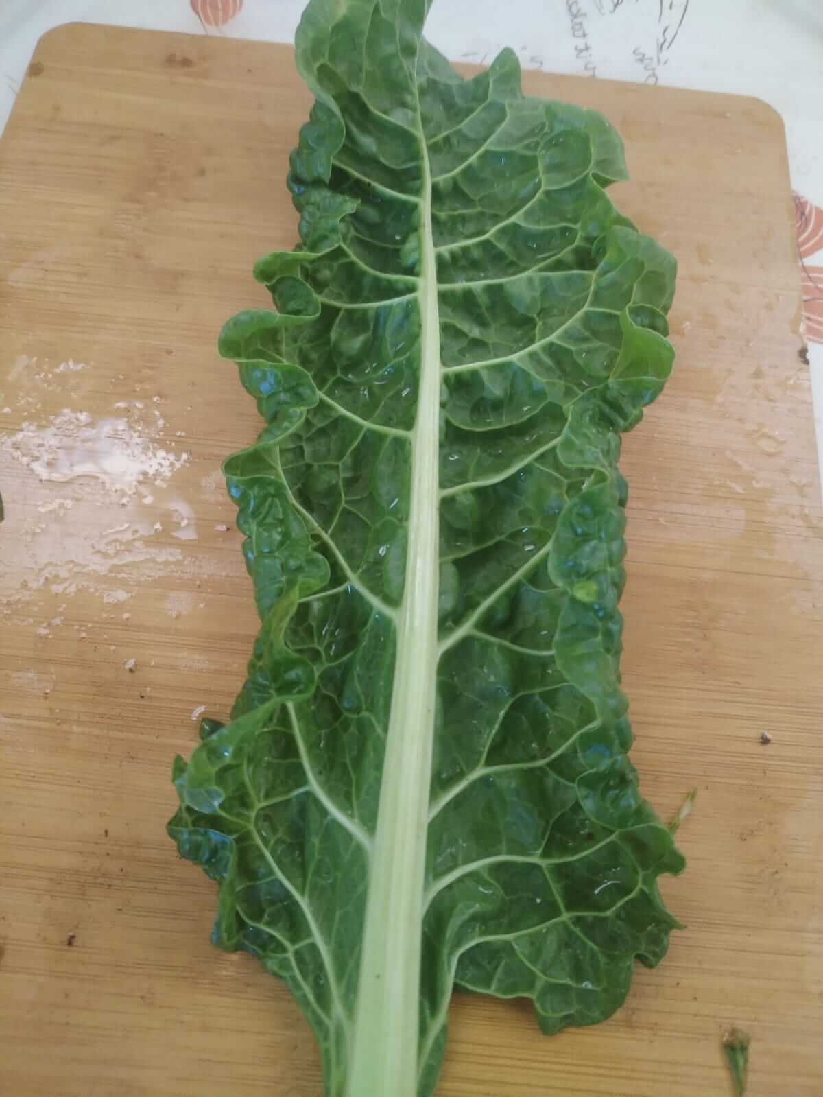 Spinach leaf