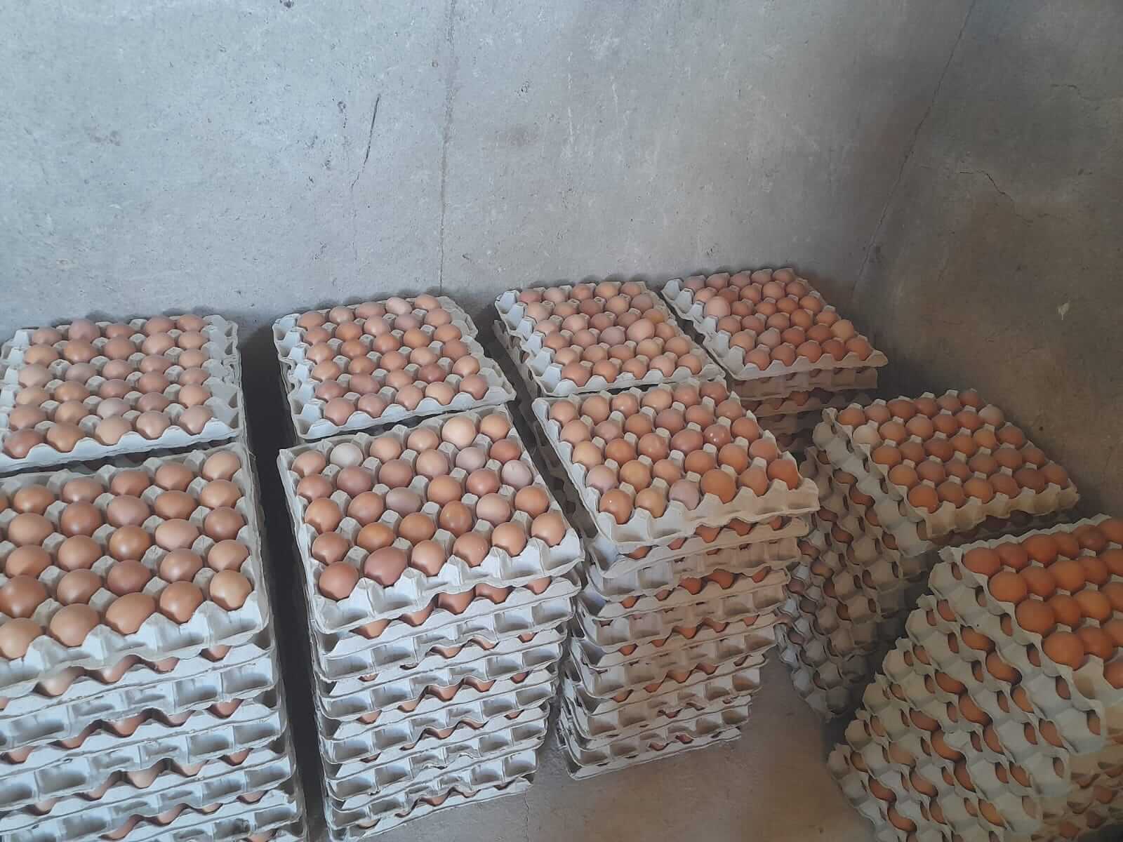 Packaged eggs