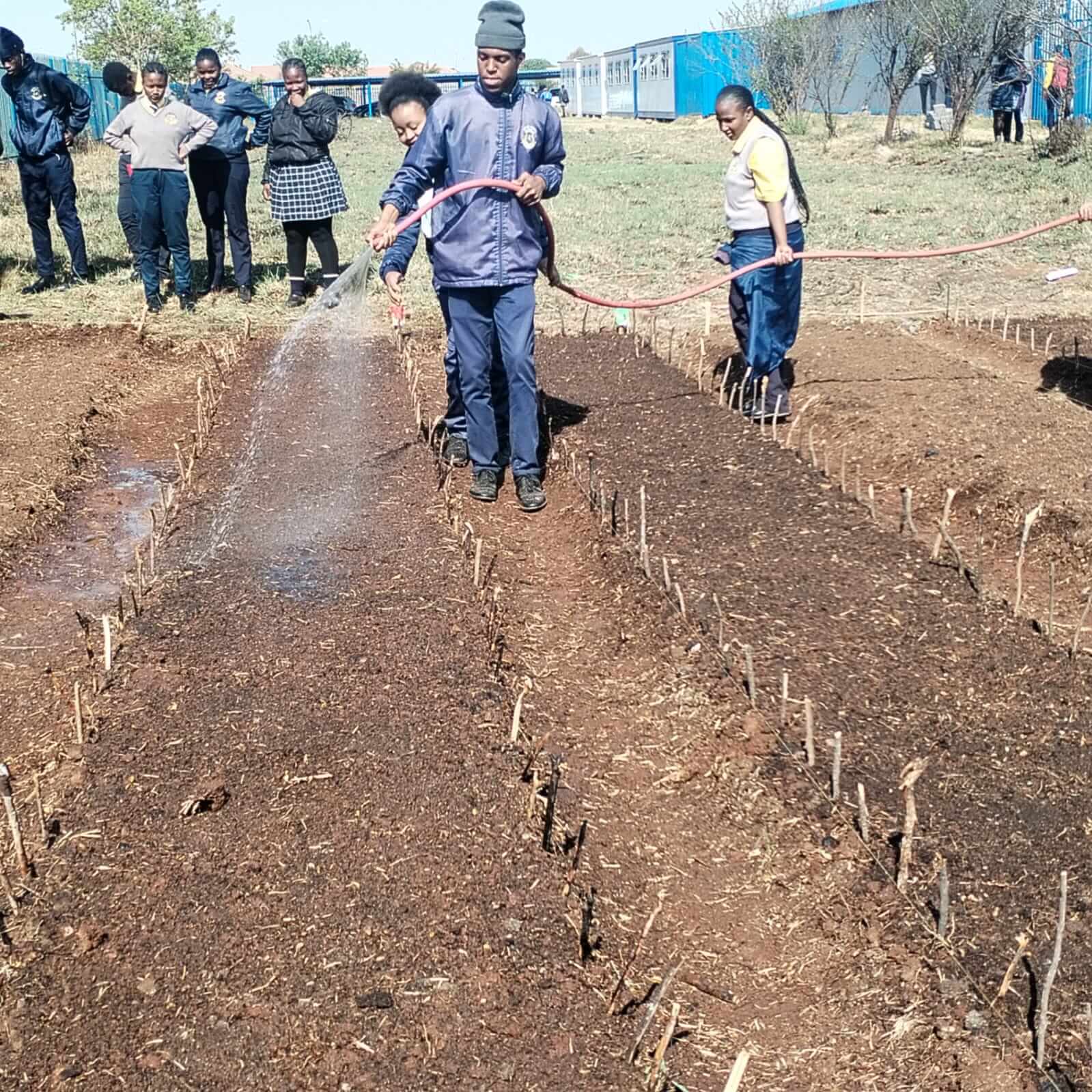 Watering crops